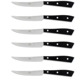 Coltellerie Berti Compendio set 6 table knives 8550 black plexiglass #variant# | Acquista i prodotti di COLTELLERIE BERTI 1895 ora su ShopDecor