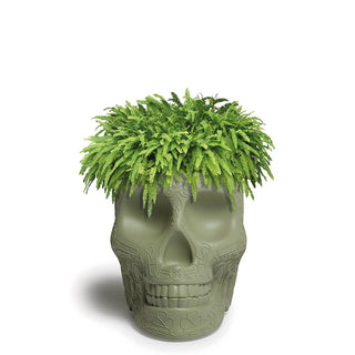 Qeeboo Mexico planter and champagne cooler in the shape of a skull Buy on Shopdecor QEEBOO collections
