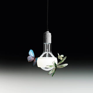 Ingo Maurer Johnny B. Butterfly suspension lamp Buy on Shopdecor INGO MAURER collections